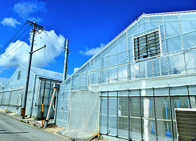 株式会社南九州沖縄クボタ クボタファーム糸満