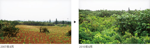 写真1