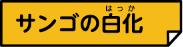 サンゴの白化