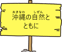 沖縄の自然とともに