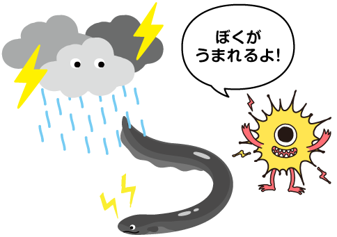 雨と電気ウナギ