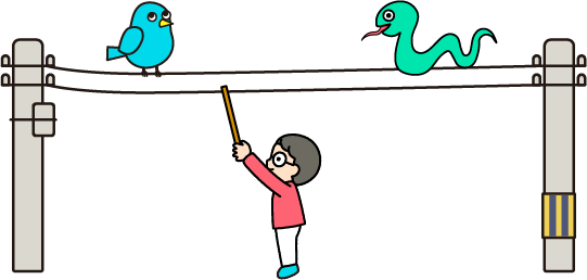 電線と人と鳥と蛇