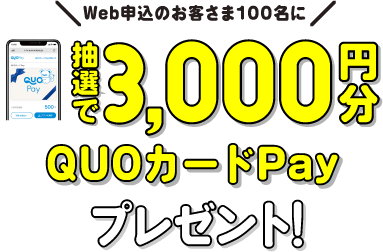 抽選で100名様にクオ・カードペイ3,000円分QUOカードPayプレゼント！