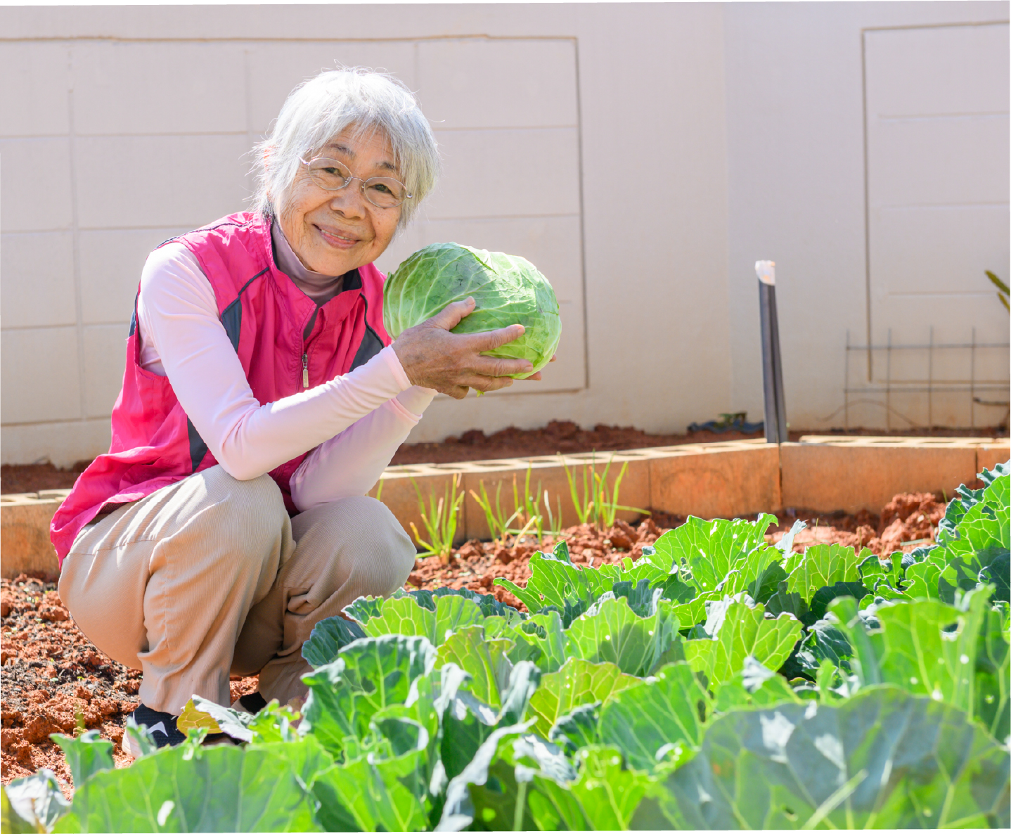 オール電化の導入で増えた豊かな「おうち時間」。