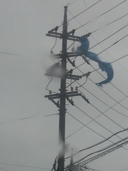 ʐ^5