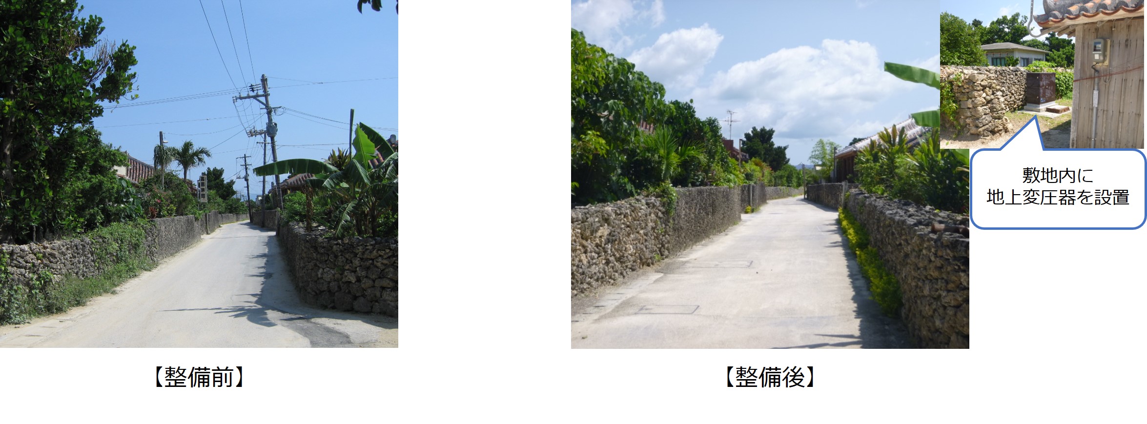 写真 【竹富島】