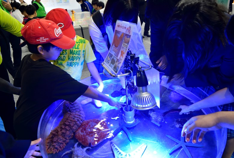 写真　体験型イベント