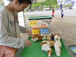 ふれあいミニ動物園