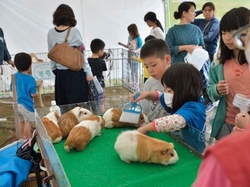 写真 ふれあいミニ動物園(公益財団法人　沖縄こどもの国)