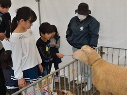 写真 ふれあいミニ動物園(公益財団法人　沖縄こどもの国)