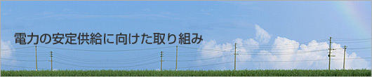�d�͂̈��苟���Ɍ��������g��