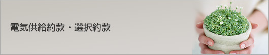 �d�C�����񊼁E�I���
