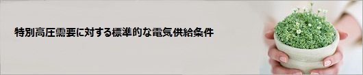 ����K�͎��v�ɑ΂���W���I�ȓd�C���������E�d�C�ŏI�ۏ��