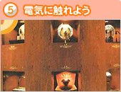 写真 5 電気に触れよう