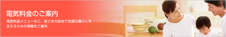 �d�C�����̂��ē��@�d�C�������j���[�ȂǁA�F���܂̈��S�ŉ��K�ȕ�炵���x���邽�߂̏������ē�
