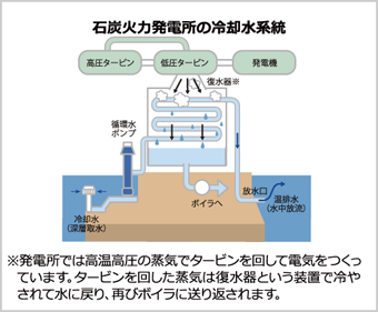 石炭火力発電所の冷却水系統