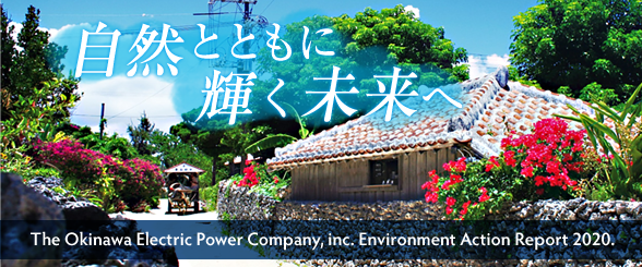 環境行動レポート2020