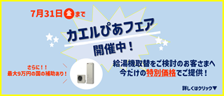 かえるピア