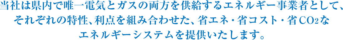 当社は県内で唯一電気とガスの両方を供給するエネルギー事業者として、それぞれの特性、利点を組み合わせた、省エネ・省コスト・省CO2なエネルギーシステムを提供いたします。