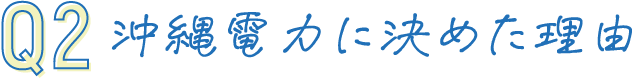 Q02 沖縄電力に決めた理由