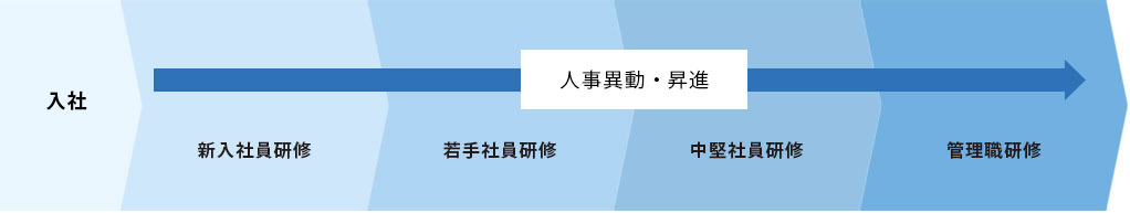 入社→新入社員研修→若手社員研修→中堅社員研修→管理職研修