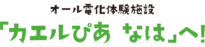 オール電化体験施設「カエルぴあ なはへ」!