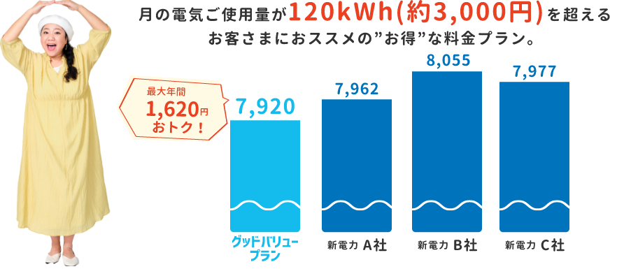 月の電気ご使用量が120kWh(約3,000円)を超えるお客さまにおススメの”お得”な料金プラン。