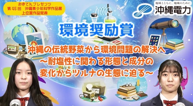 沖縄の伝統野菜から環境問題の解決へ～耐塩性に関わる形態と成分の変化からツルナの生態に迫る～