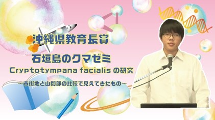 石垣島のクマゼミCryptotympana facialisの研究