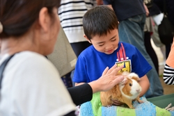 ふれあいミニ動物園